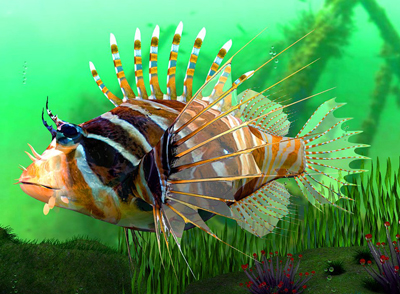 drakon.jpg drakon.jpg