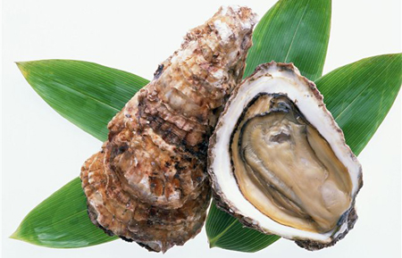 ustrica.jpg ustrica.jpg